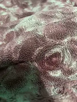 shibhu1 o online show from 11, 3, 2025