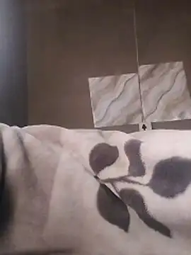 LaneYam online show from 9, 4, 2026