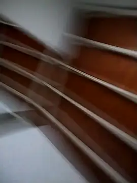 Josejotacamargo online show from 4, 3, 2025