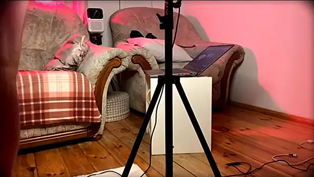 AssHunter4k online show from 23, 2, 2025