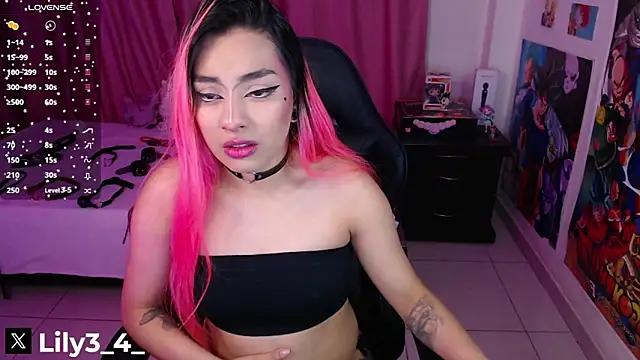 Snapshot of lily3_4 chatting on 2, 2, 2025 lily3 4 online show from 2, 2, 2025