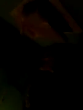 Raj41 online show from 8, 2, 2026