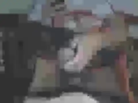 big-king233 online show from 17, 1, 2026