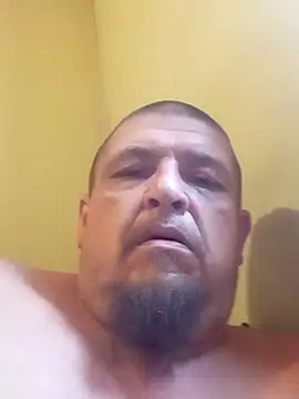 david799179 online show from 25, 7, 2026