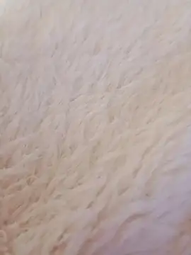 Snapshot of feketedemon36 chatting on 21, 1, 2025 feketedemon36 online show from 21, 1, 2025