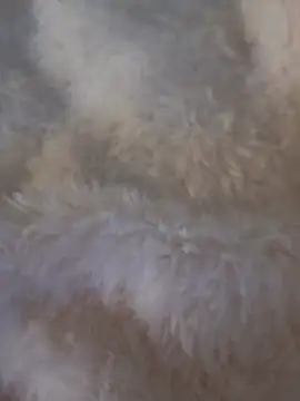 Snapshot of feketedemon36 chatting on 25, 1, 2025 feketedemon36 online show from 25, 1, 2025