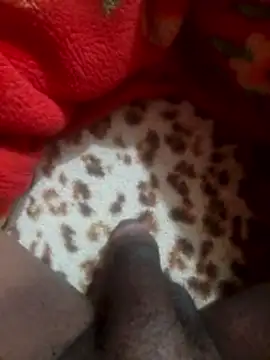 mhmia online show from 12, 1, 2026