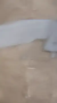 laxmitelugu78 online show from 2, 2, 2025