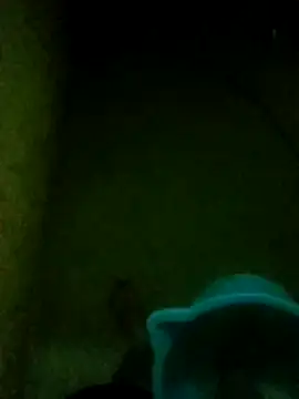 Snapshot of Night_View chatting on 14, 11, 2025 Night View online show from 14, 11, 2025