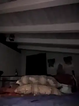 divinaerotica online show from 2, 11, 2025