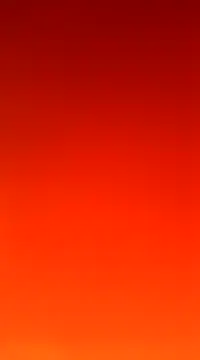 wadmma online show from 22, 3, 2025