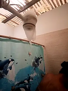 Snapshot of Zaira_Rose_ chatting on 24, 2, 2026 Zaira Rose online show from 24, 2, 2026