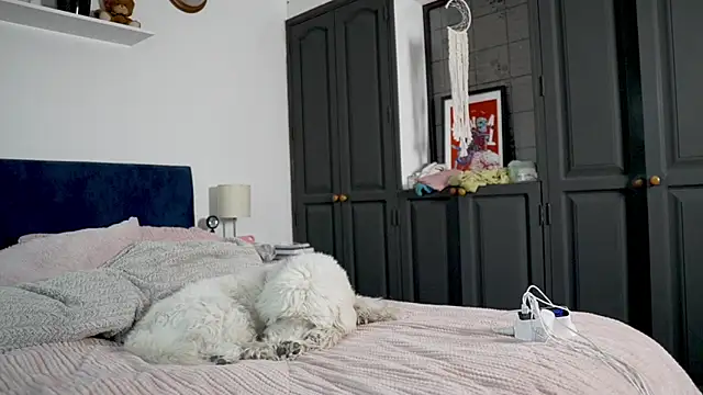 tattoo ninja kittyy online show from 16, 10, 2025