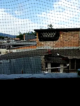 Snapshot of Niick01_ chatting on 9, 11, 2025 Niick01 online show from 9, 11, 2025