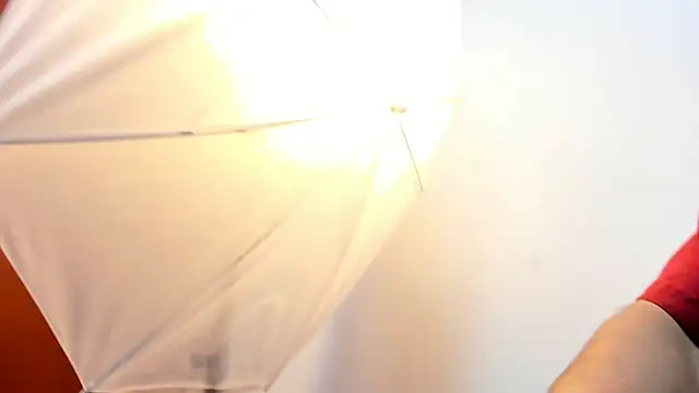 roan birkin online show from 11, 1, 2026