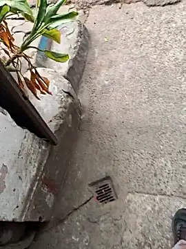 Snapshot of sethgamble000777 chatting on 20, 12, 2025 sethgamble000777 online show from 20, 12, 2025