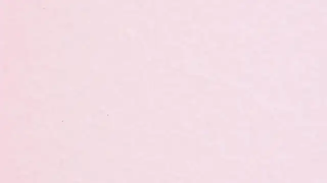 JhoanLeandro online show from 11, 4, 2026