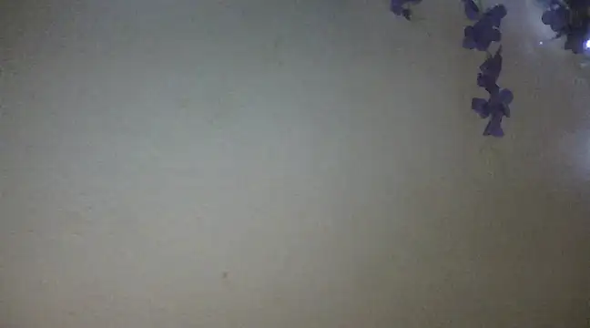 Snapshot of xxsexycutexxx chatting on 18, 2, 2025 xxsexycutexxx online show from 18, 2, 2025