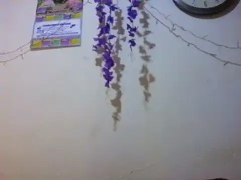 Snapshot of xxsexycutexxx chatting on 3, 3, 2025 xxsexycutexxx online show from 3, 3, 2025