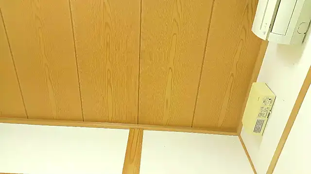 RIO o0 online show from 22, 12, 2025