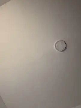 akirahattori online show from 31, 3, 2026