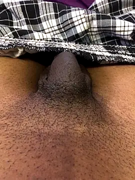 cumcum94 online show from 11, 10, 2025