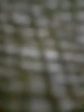 Mineirinho043 online show from 17, 2, 2025