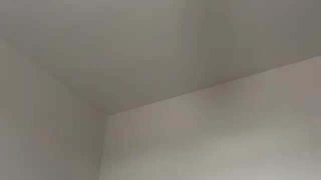 skyejde online show from 12, 2, 2026