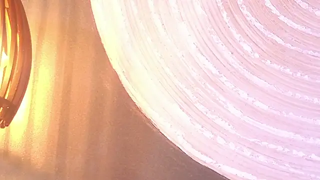 lissa palmer online show from 30, 11, 2025