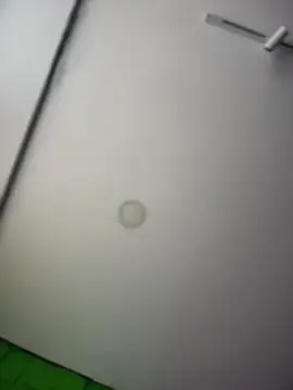 Dulce  Boyd online show from 8, 4, 2026