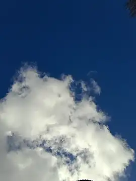 Snapshot of Emily_homegirl chatting on 22, 3, 2025 Emily homegirl online show from 22, 3, 2025