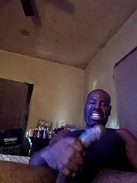 birdg online show from 13, 11, 2025