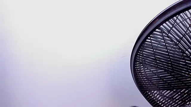 Naomii Viper online show from 8, 2, 2026