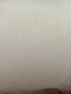 flo000031 online show from 16, 1, 2026