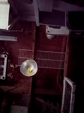 salchichon 69 online show from 31, 3, 2026