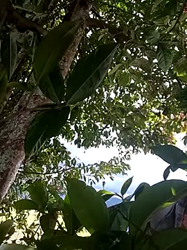 Mycansonhot online show from 11, 4, 2026