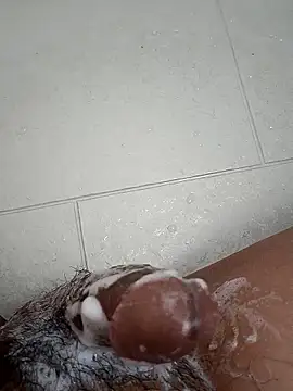 Tyaniks online show from 30, 9, 2025