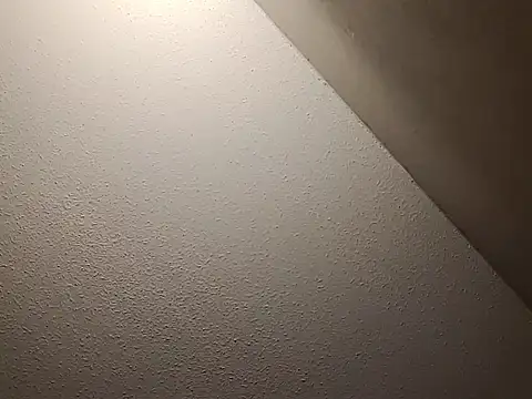 taterae online show from 23, 11, 2025