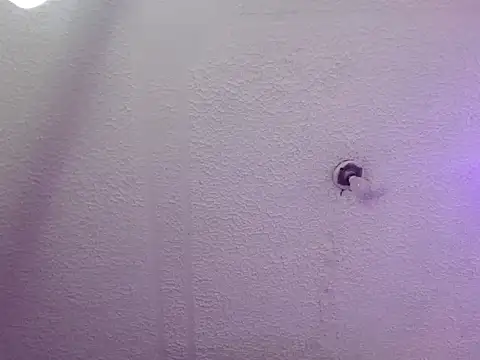 Pandora 9666 online show from 24, 10, 2025