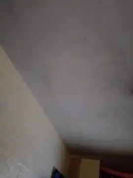 JairElGrillo online show from 11, 11, 2025