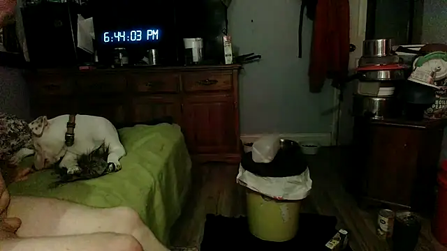 Snapshot of PornStro921 chatting on 30, 6, 2026 PornStro921 online show from 30, 6, 2026