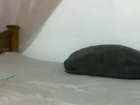 sissydinu online show from 28, 2, 2025