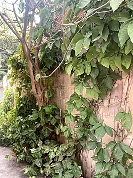 twinks 28 online show from 14, 1, 2026