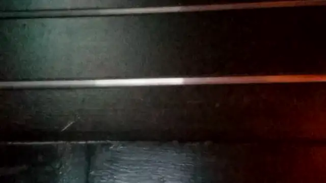 wetnwildforyou online show from 19, 10, 2025