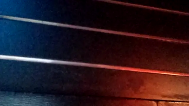 wetnwildforyou online show from 29, 10, 2025