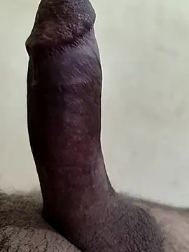 alkhabiir online show from 6, 3, 2026