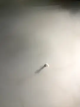 1Zoey101 online show from 18, 12, 2025