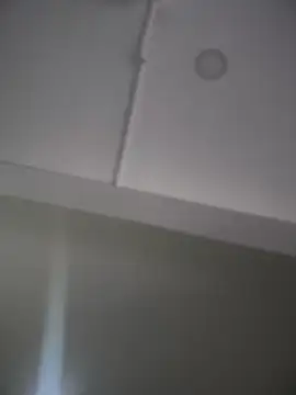 Mila LS online show from 26, 11, 2025