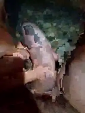 Luis katya online show from 10, 2, 2026