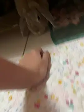 Snapshot of ladypaggy chatting on 4, 3, 2026 ladypaggy online show from 4, 3, 2026